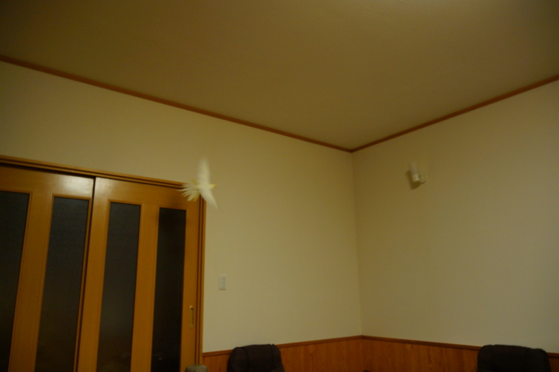 f:id:GSX-R1000:20141202200340j:image f:id:GSX-R1000:20141202200340j:image