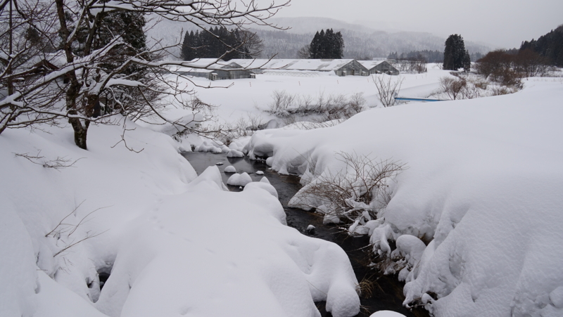 f:id:GSX-R1000:20150110183158j:image f:id:GSX-R1000:20150110183158j:image