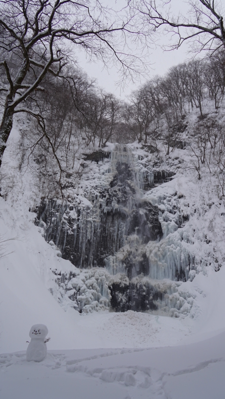 f:id:GSX-R1000:20150110183206j:image f:id:GSX-R1000:20150110183206j:image