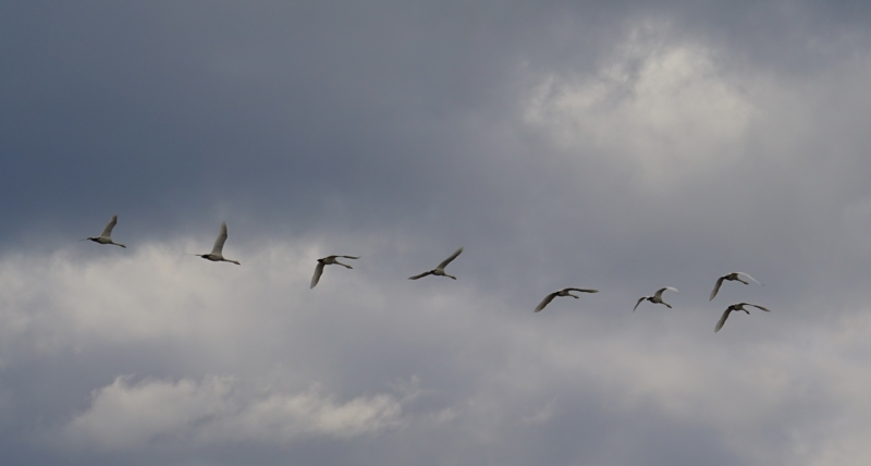 f:id:GSX-R1000:20150129201836j:image
