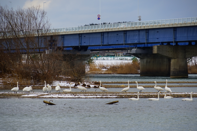 f:id:GSX-R1000:20150129201845j:image