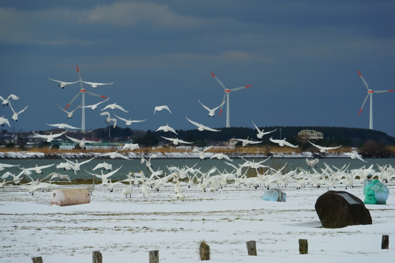 f:id:GSX-R1000:20150129203204j:image