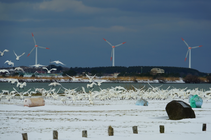 f:id:GSX-R1000:20150129203235j:image