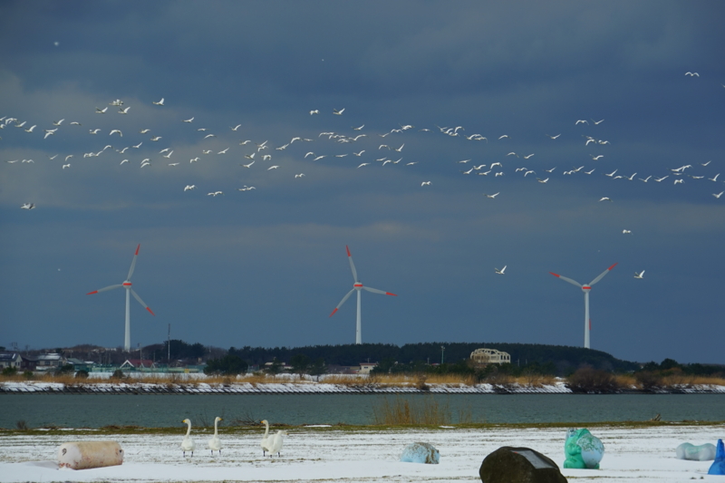 f:id:GSX-R1000:20150129203544j:image