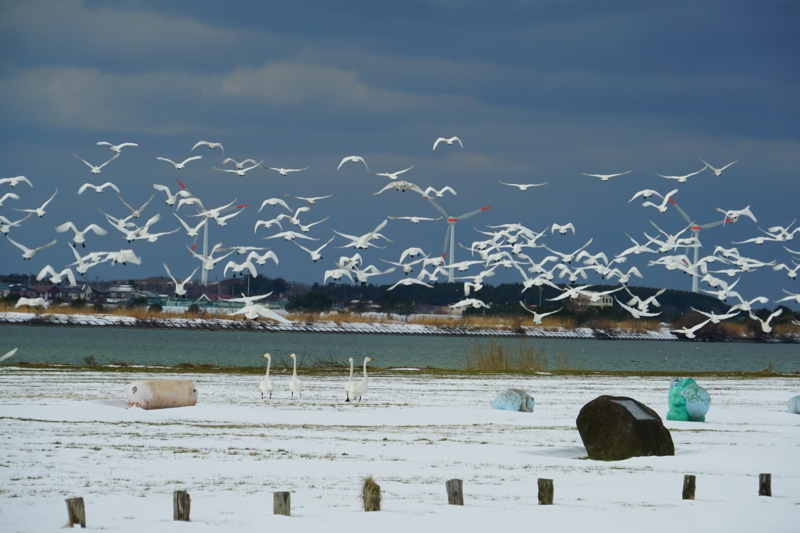 f:id:GSX-R1000:20150129203650j:image