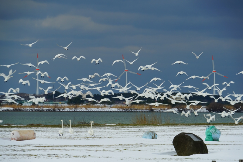 f:id:GSX-R1000:20150129203721j:image