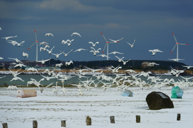 f:id:GSX-R1000:20150129203752j:image