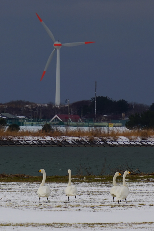 f:id:GSX-R1000:20150129204203j:image