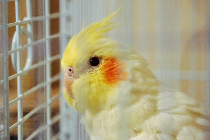 f:id:GSX-R1000:20150131214503j:image:w360 f:id:GSX-R1000:20150131214503j:image:w360