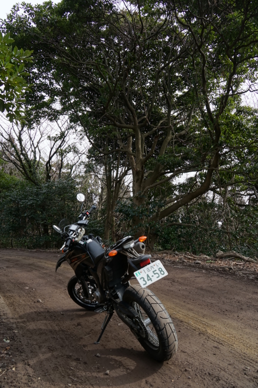 f:id:GSX-R1000:20150222200816j:image