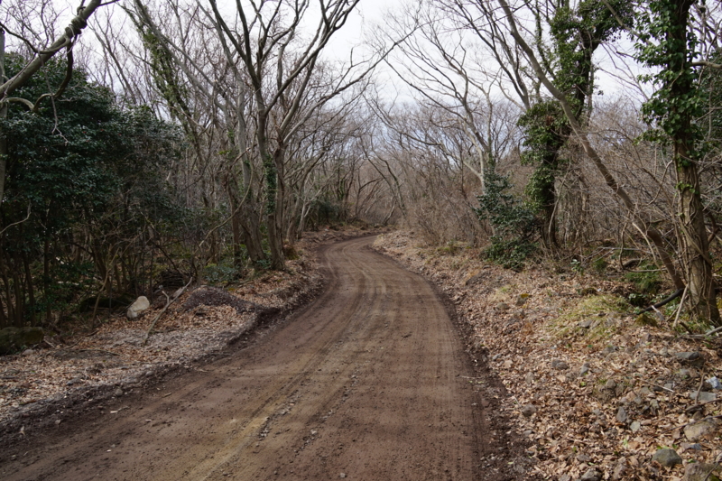f:id:GSX-R1000:20150222200817j:image