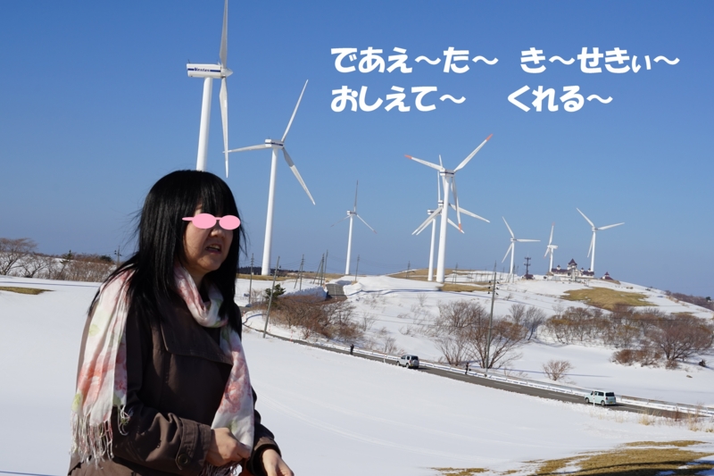 f:id:GSX-R1000:20150308215550j:image