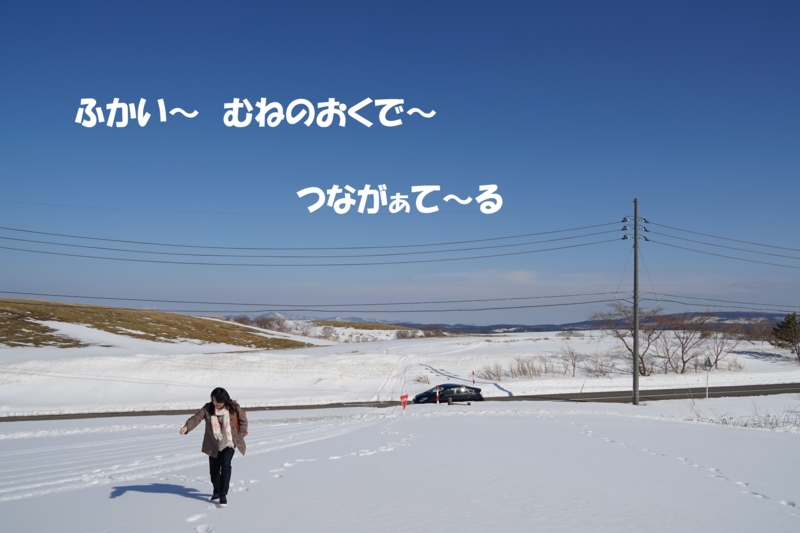 f:id:GSX-R1000:20150308215642j:image
