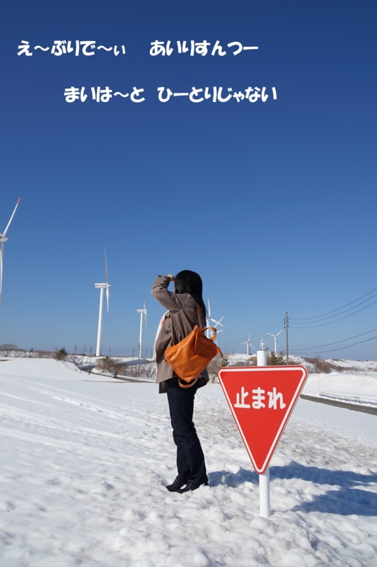 f:id:GSX-R1000:20150308215708j:image