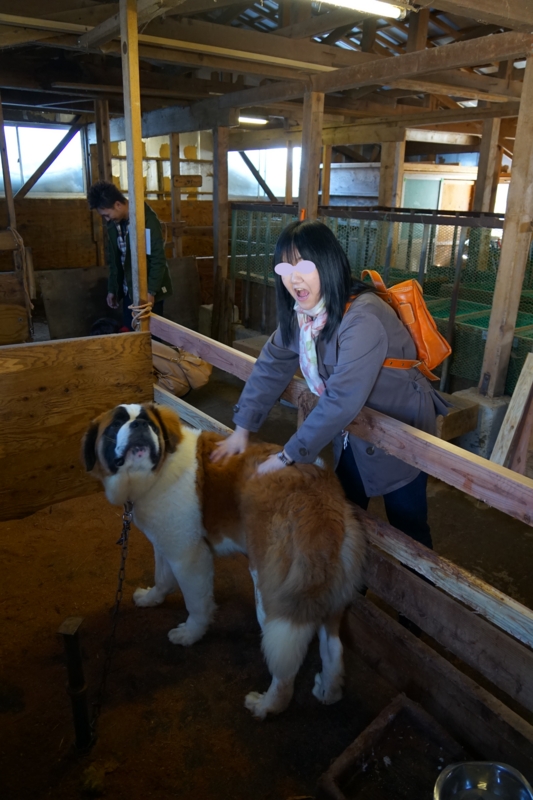 f:id:GSX-R1000:20150308220454j:image