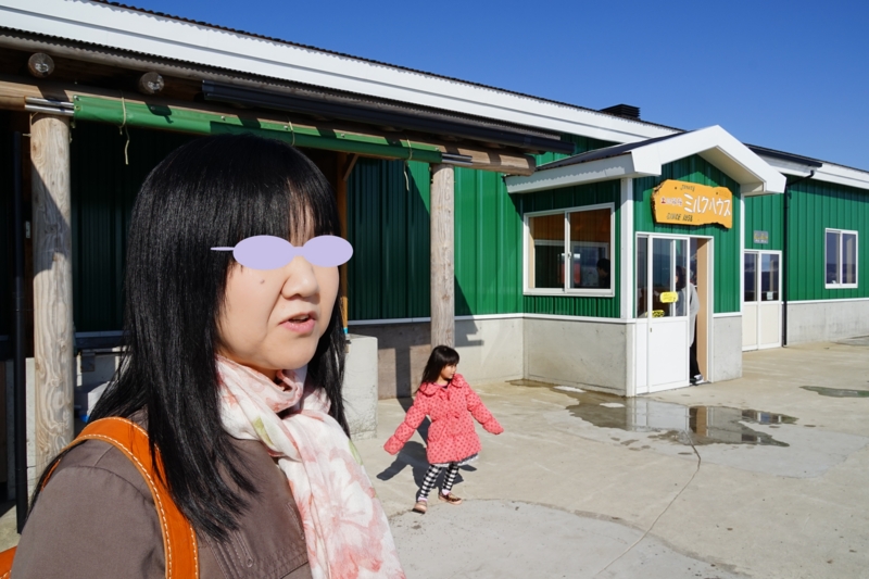 f:id:GSX-R1000:20150308220522j:image