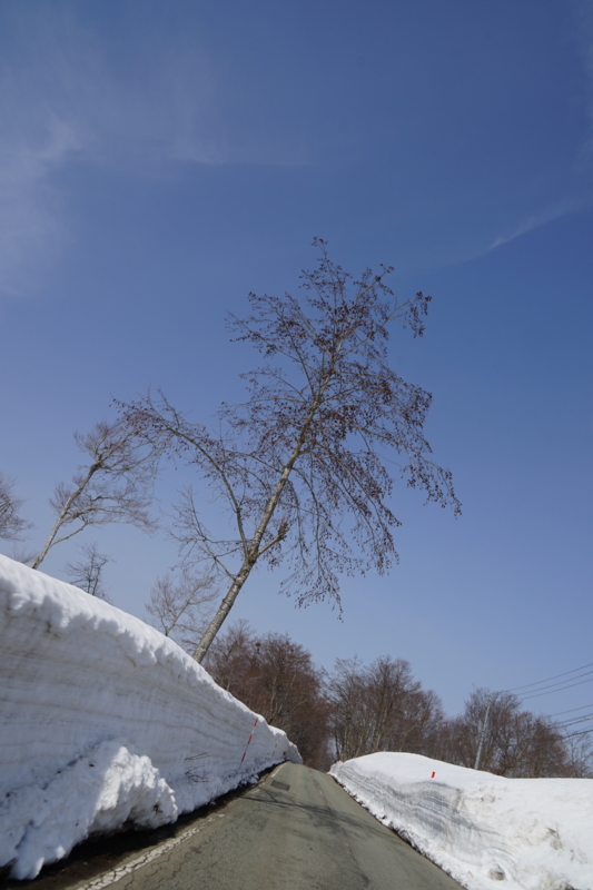 f:id:GSX-R1000:20150317201510j:image