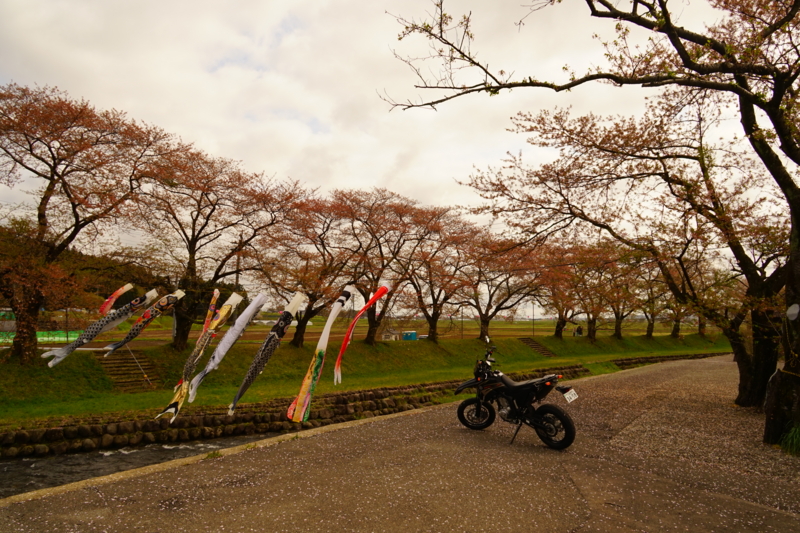 f:id:GSX-R1000:20150421195438j:image