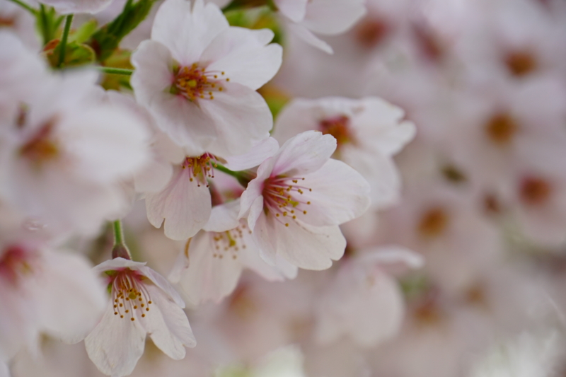 f:id:GSX-R1000:20150421195505j:image