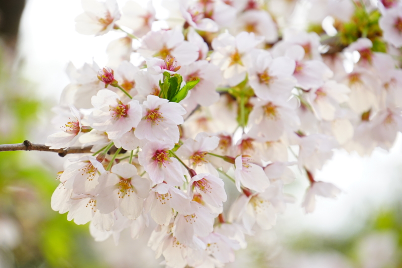 f:id:GSX-R1000:20150421195506j:image