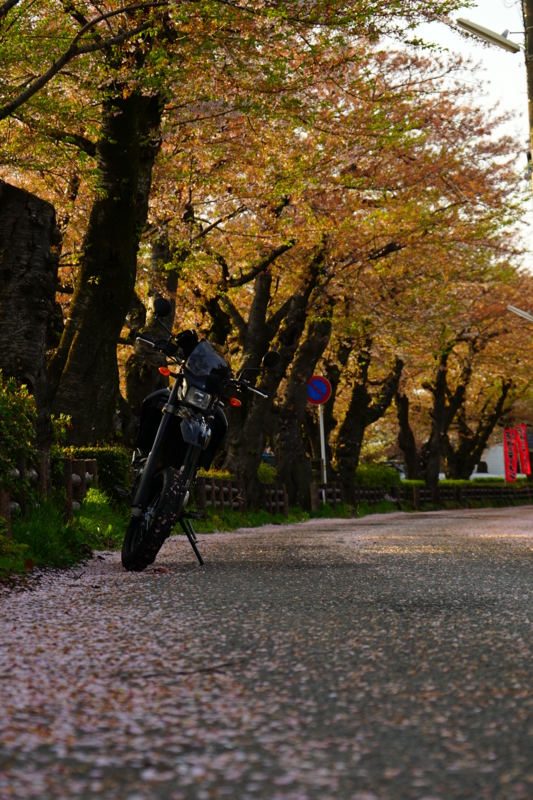 f:id:GSX-R1000:20150421201008j:image
