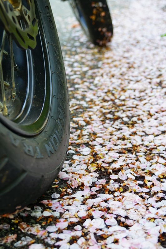 f:id:GSX-R1000:20150421201012j:image
