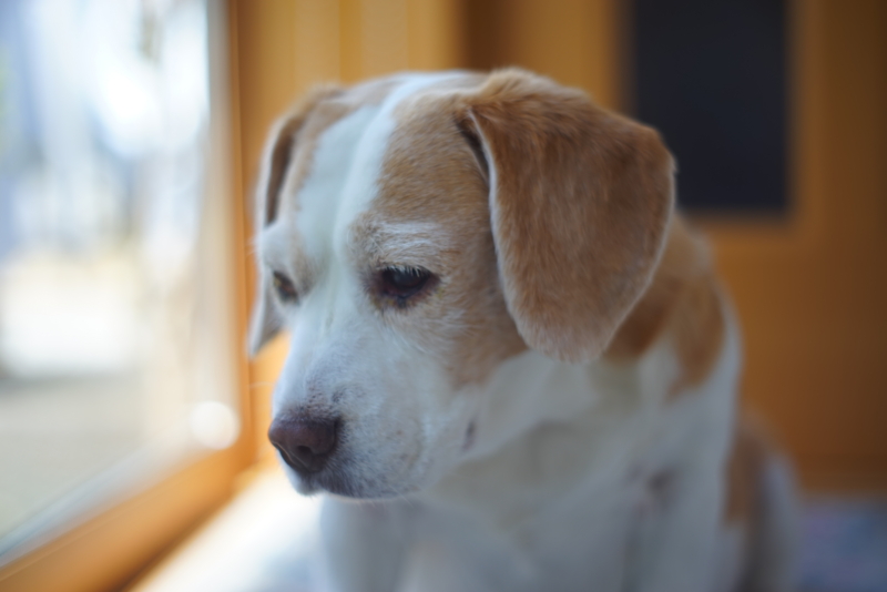 f:id:GSX-R1000:20150423201053j:image