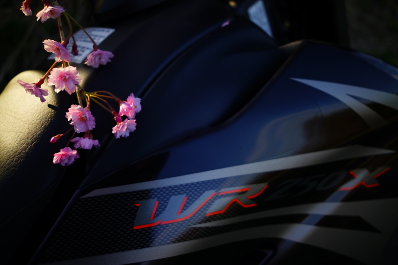 f:id:GSX-R1000:20150423202102j:image f:id:GSX-R1000:20150423202102j:image