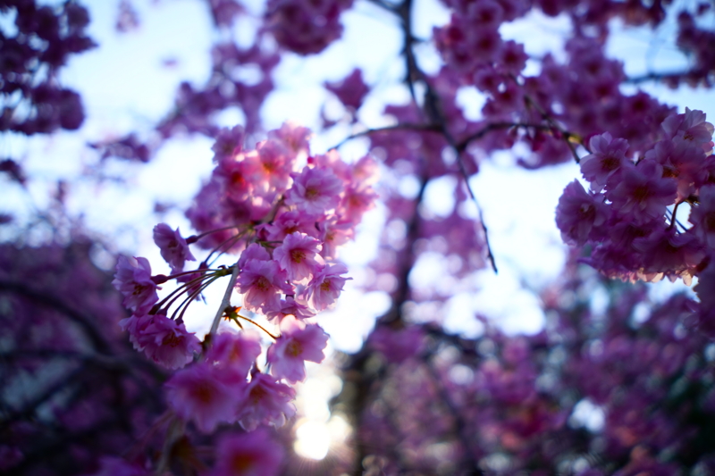 f:id:GSX-R1000:20150423202116j:image f:id:GSX-R1000:20150423202116j:image