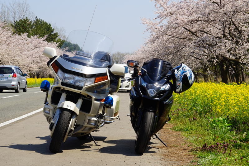 f:id:GSX-R1000:20150423223003j:image