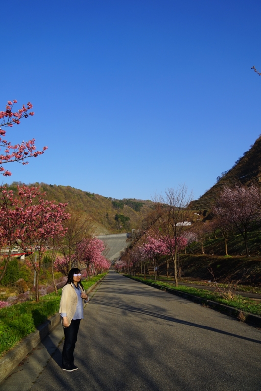 f:id:GSX-R1000:20150425211357j:image f:id:GSX-R1000:20150425211357j:image