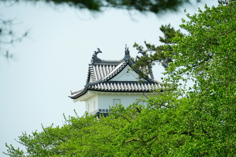 f:id:GSX-R1000:20150515205851j:image