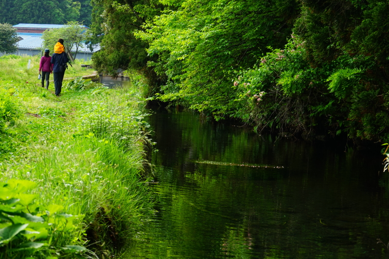 f:id:GSX-R1000:20150516192537j:image