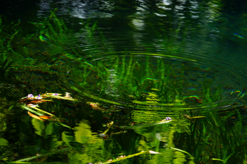 f:id:GSX-R1000:20150516203811j:image