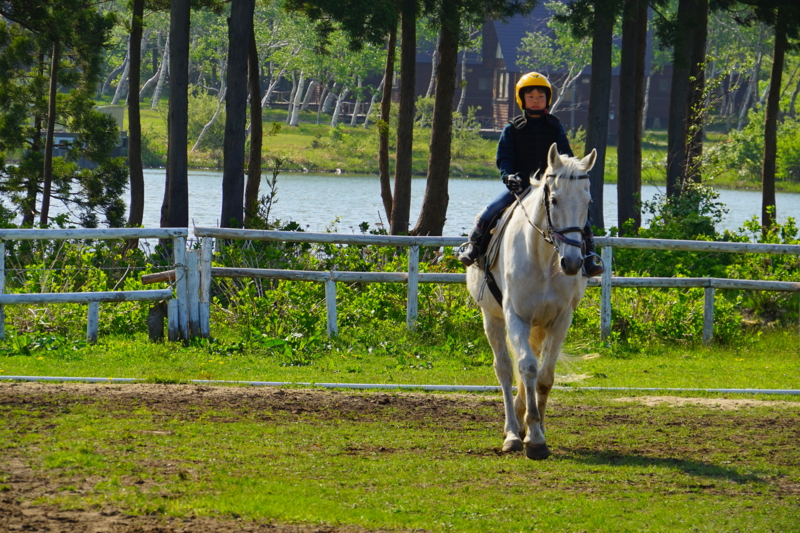 f:id:GSX-R1000:20150517213516j:image