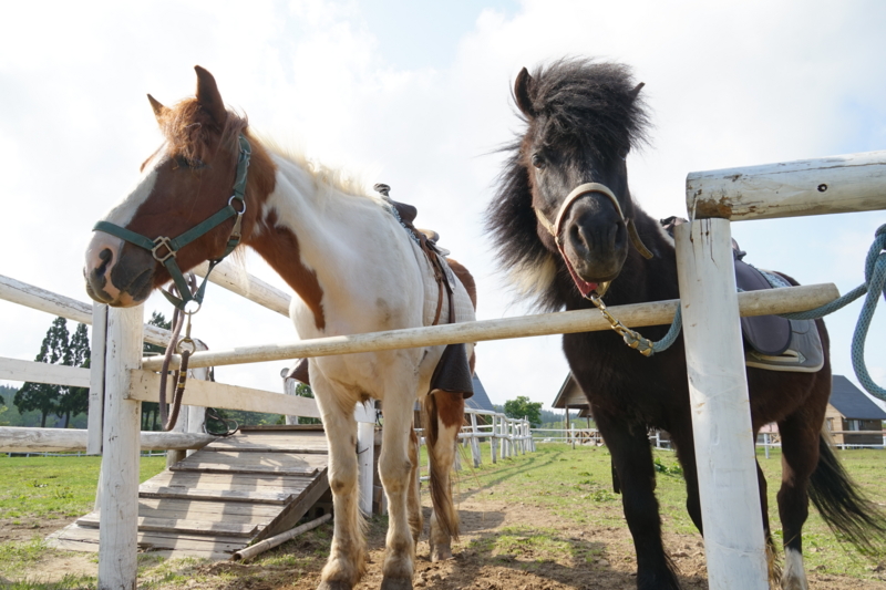 f:id:GSX-R1000:20150517213519j:image