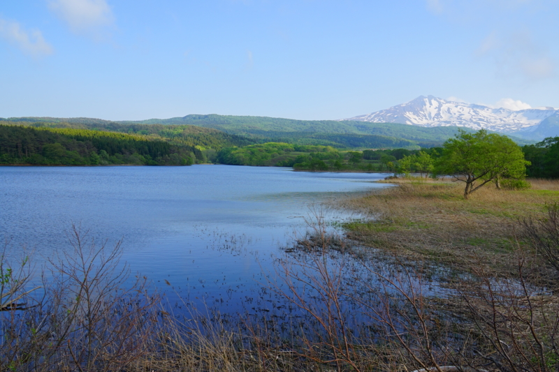 f:id:GSX-R1000:20150517213524j:image