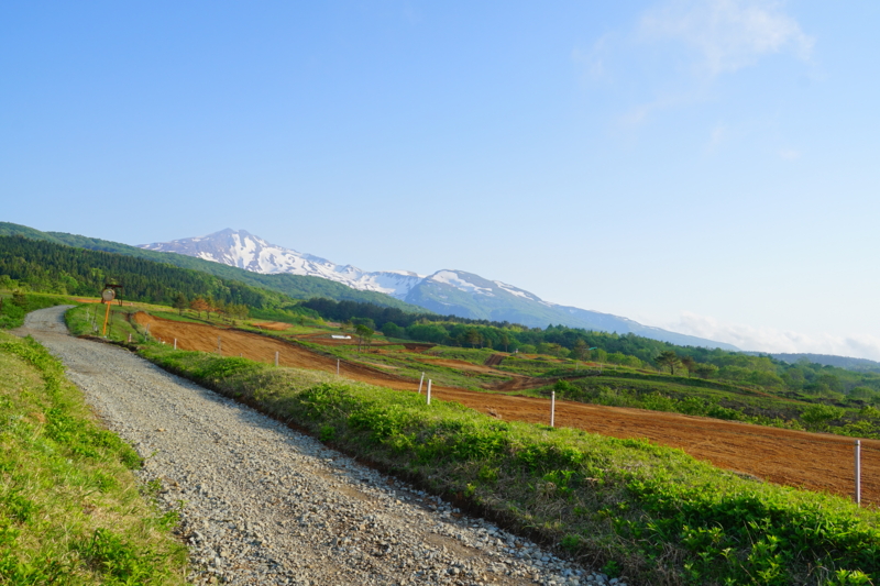 f:id:GSX-R1000:20150517213529j:image