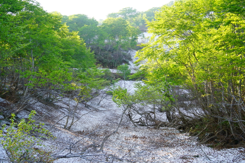 f:id:GSX-R1000:20150529213230j:image