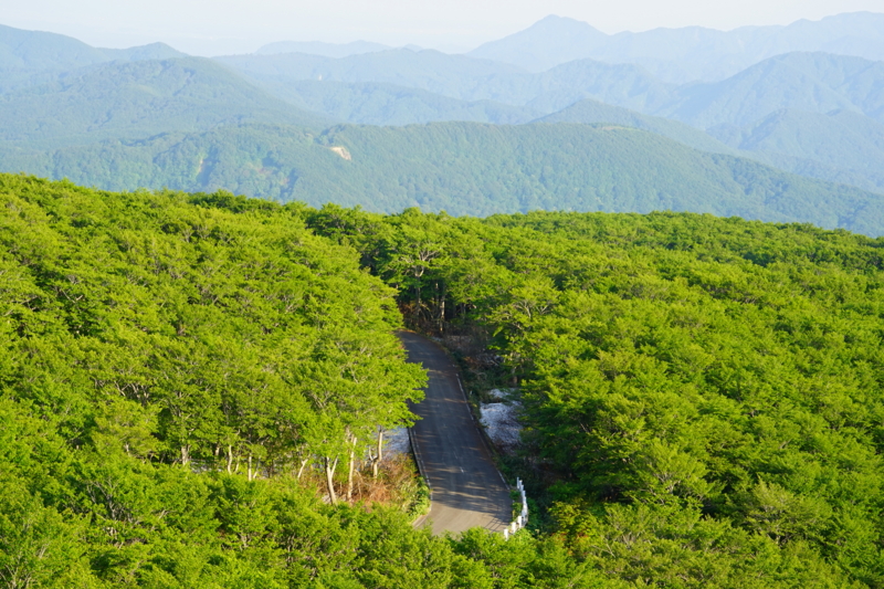 f:id:GSX-R1000:20150529213232j:image