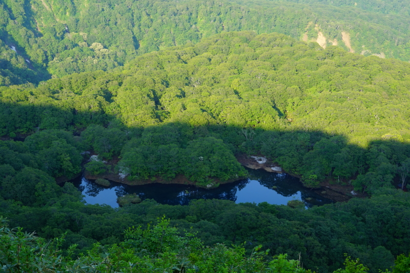 f:id:GSX-R1000:20150529213236j:image