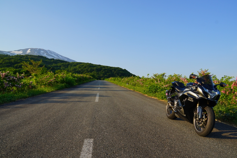 f:id:GSX-R1000:20150529213240j:image