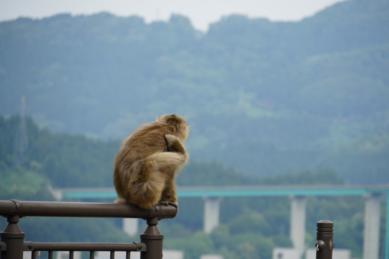 f:id:GSX-R1000:20150626224921j:image