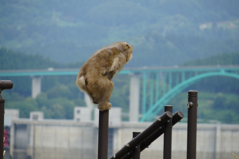 f:id:GSX-R1000:20150626224922j:image
