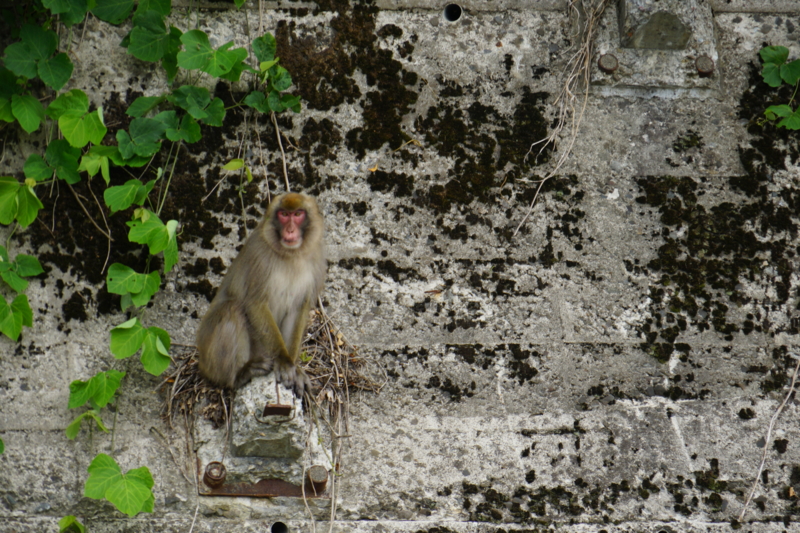 f:id:GSX-R1000:20150626224929j:image