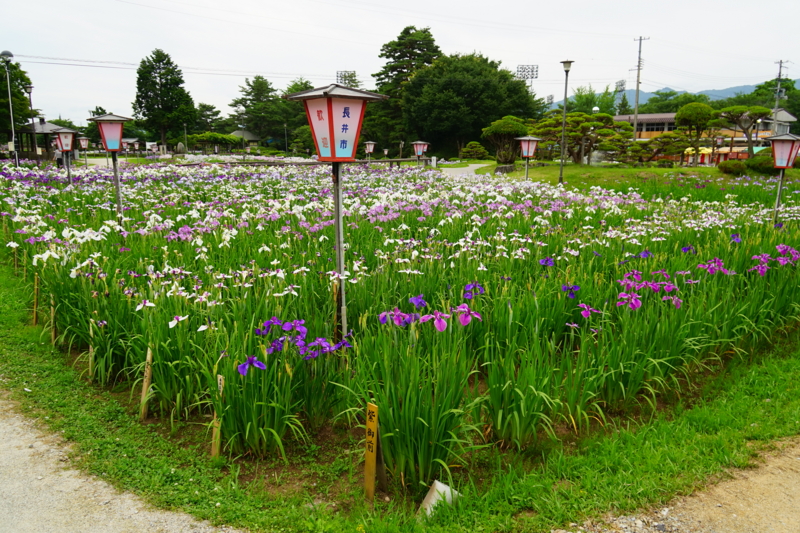 f:id:GSX-R1000:20150626225006j:image