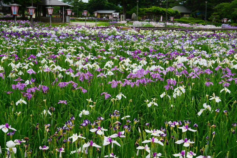 f:id:GSX-R1000:20150626225009j:image