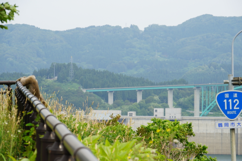 f:id:GSX-R1000:20150627211746j:image