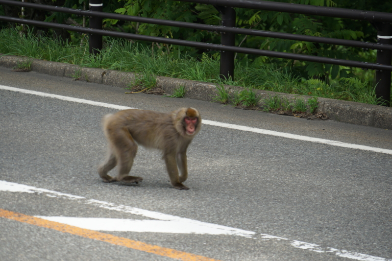 f:id:GSX-R1000:20150627211747j:image