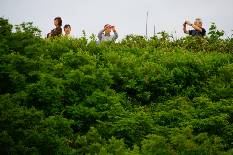 f:id:GSX-R1000:20150705212105j:image